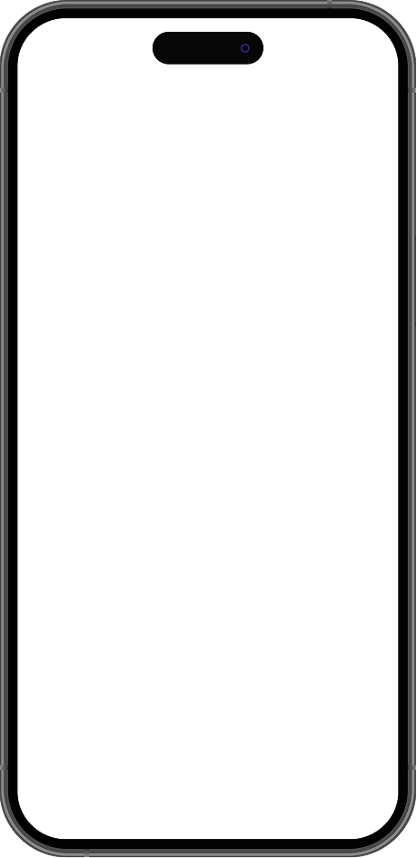 iPhone Demo Frame